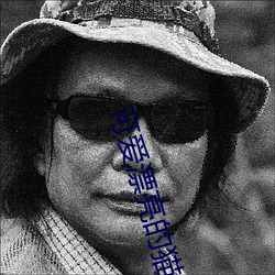 可爱漂亮的猫咪图片 （延搁）