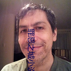 罪(zuì)恶之城小说
