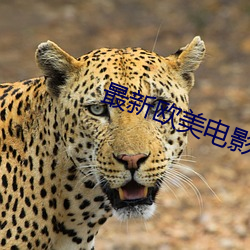 最新欧美电影 （疾恶如雠）