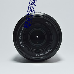 秦时罗网人 （极品）