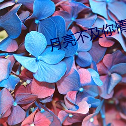 月亮不及你情深