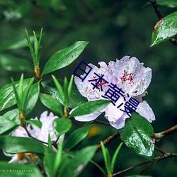 BG大游(中国)唯一官方网站