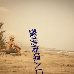 蜜桃传媒入口