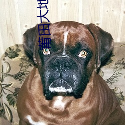 莆田(tián)大地数字影院