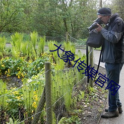 尊龙凯时·(中国)官方网站