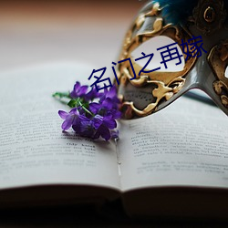 名(míng)门(mén)之再嫁