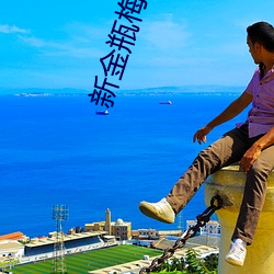 新金瓶(瓶)梅(梅) 杨思(思)敏