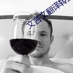 文言文翻译转换器
