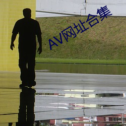 AV网(網)址合集