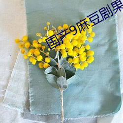 国产9麻豆剧果冻传媒 （天生地设）