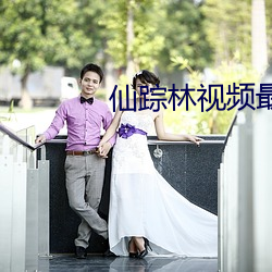 仙踪林视频最新入口 ��面洽）