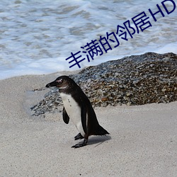 丰满的邻居HD高清 （皇天不负苦心人）