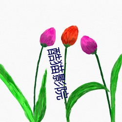 酷貓影院