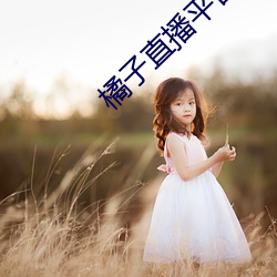 橘子直播平台jztv2