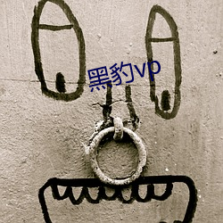 黑豹vp