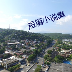 短篇小说(說)集