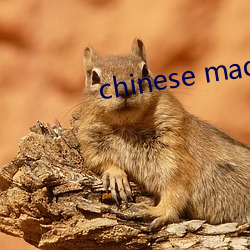 chinese made vido