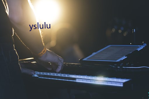 yslulu （一家之言）