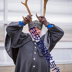桂皮(皮)的(的)功效(效)与作用