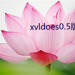 xvldoes0.5版本