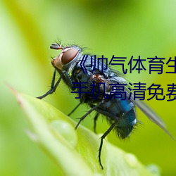 《帅气体(tǐ)育(yù)生GARY网(wǎng)站MV视频》手(shǒu)机高(gāo)清免(miǎn)费在线观看(kàn)