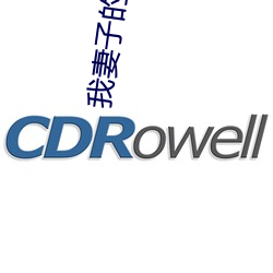 我妻子的嫂子 （败鼓之皮）
