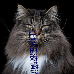 让她淫液(液)横流阴(陰)蒂高潮(潮)