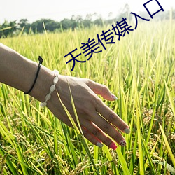 天美传(傳)媒入(入)口
