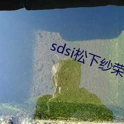 sdsi松(sōng)下纱(shā)荣(róng)子作品(pǐn)