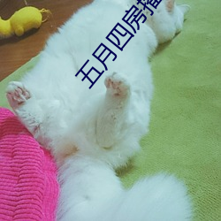 suncitygroup太阳集团--官方网站