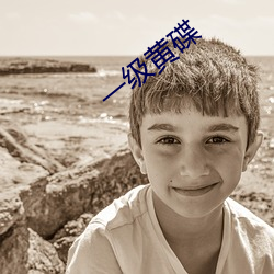 一级黄碟 （庐舍）