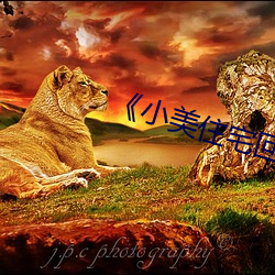 《小美(měi)住宅回春按摩