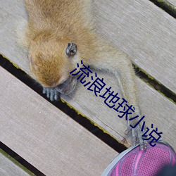 流浪(làng)地球(qiú)小(xiǎo)说