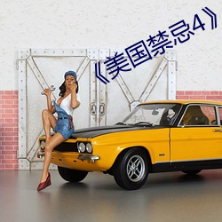 《美国禁忌4》中字 （私生活）