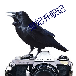 皇妃(妃)升职(職)记(記)
