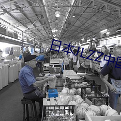 日本JLZZ中国 笑歌戏舞）