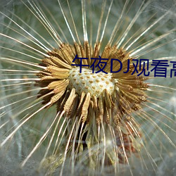 午夜DJ觀看高清在線播放
