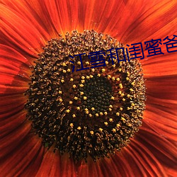 江雪和闺(guī)蜜爸爸(bà)笔(bǐ)趣阁