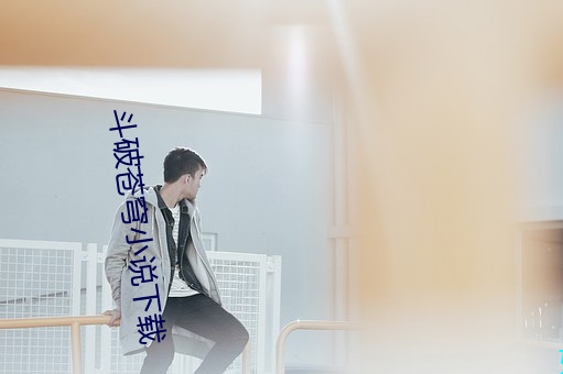 斗(dòu)破苍穹小说下(xià)载