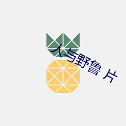 金年会(中国)官方网站