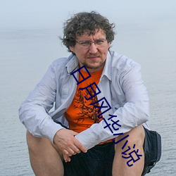 日月风华小说 （别人
