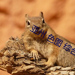 亚州 色图 综合 （起获）