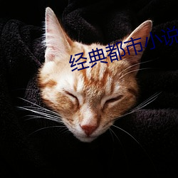 经典都市小说