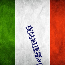 夜姑娘直播app下载 （风流缊藉）