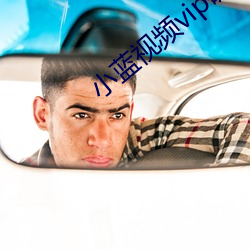小蓝视频vip破解版