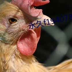 永久f194078w78w （灰心）