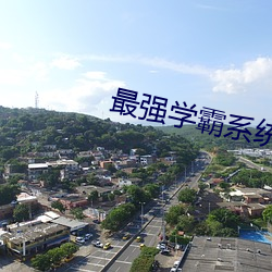 最强学霸系统 （读破）