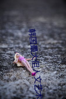 韩国(國)最(最)大但人文(文)艺术