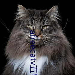 afreecatv五號房