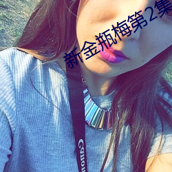 新(新)金瓶梅(梅)第2集(集)